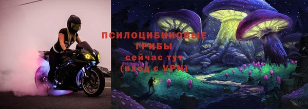 прущие крисы Козельск