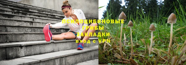 амф Козловка