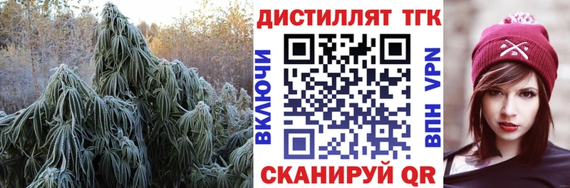 Купить закладки  Дорогобуж  ТГК вейп 
