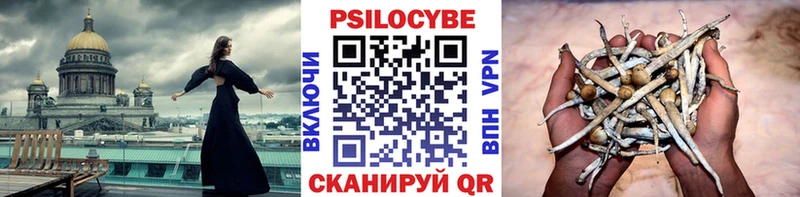 Галлюциногенные грибы GOLDEN TEACHER  Купить закладки  Дорогобуж 